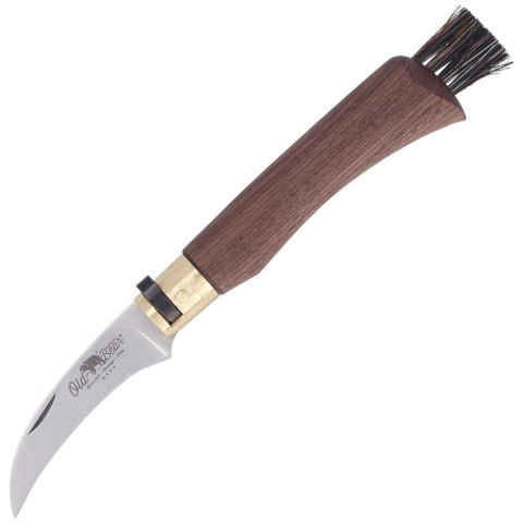 Nóż składany do grzybów Antonini Old Bear Mushroom Walnut Wood, Satin AISI 420 (AE 9387/19_LN) Old Bear by Antonini Italy