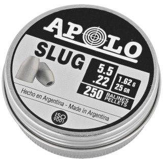 Śrut Apolo Slug 25 5.5 mm, 250 szt. 1.62g/25.0gr (19301) Apolo
