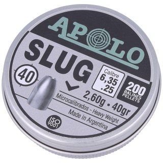 Śrut Apolo Slug 40 6.35 mm, 200 szt. 2.60g/40.0gr (19304) Apolo