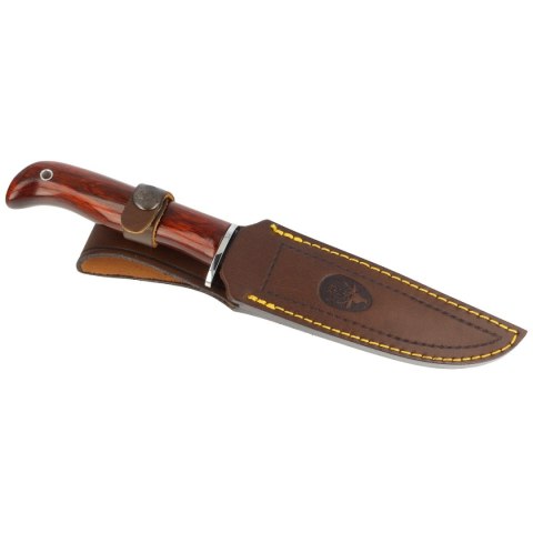 Nóż Muela Gredos Coral Wood, Satin X50CrMoV15 (GRED-13R) Muela