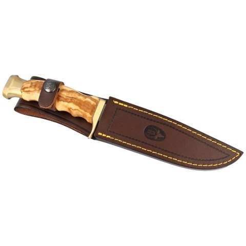 Nóż Muela Ranger-14OL Olive Wood, Satin X50CrMoV15 Muela