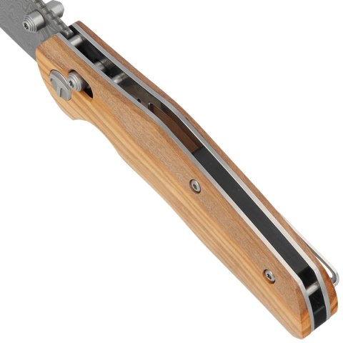 Nóż składany Bestechman Ronan Olive Wood, Damascus (BMK02M) Bestechman by Bestech Knives