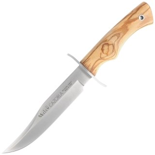 Nóż Muela CAZ-16.OL Olive Wood, Satin X50CrMoV15 Muela