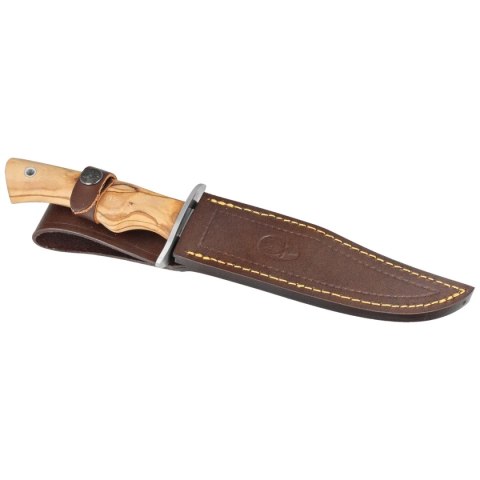 Nóż Muela CAZ-16.OL Olive Wood, Satin X50CrMoV15 Muela