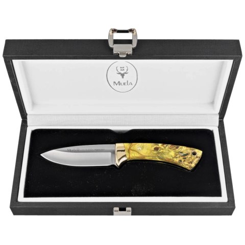Nóż Muela Colibri COL-7.TO Maple Wood, Satin X50CrMoV15, Gift Box Muela
