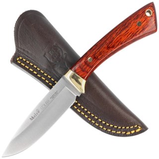 Nóż Muela Colibri COL-9M Pakka Wood, Satin X50CrMoV15 Muela
