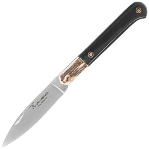 Nóż składany Tramuntana Decor Habitat Cabritera Deer/Buffalo Horn, Satin 420 (TK-34) Decor Habitat