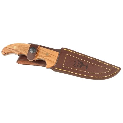Nóż Muela Azor-13OL Olive Wood, Satin X50CrMoV15 Muela