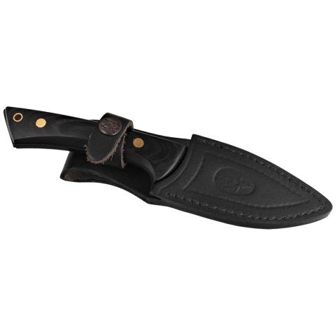 Nóż Muela Colibri COL-9MT Black Pakka Wood, Black X50CrMoV15 Muela