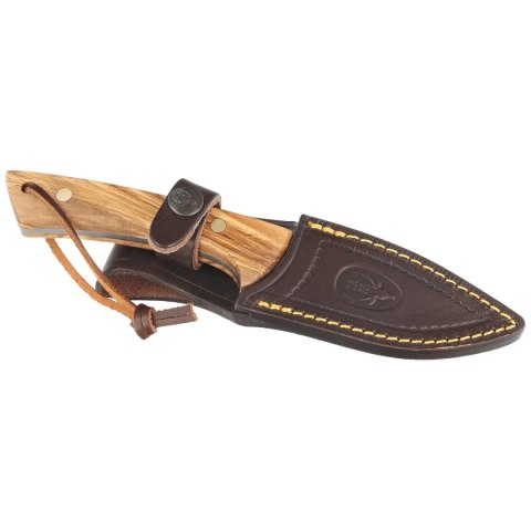 Nóż Muela Colibri COL-9.OL Olive Wood, Satin X50CrMoV15 Muela