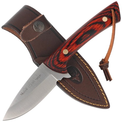 Nóż Muela Colibri COL-9.R Coral Pakka Wood, Satin X50CrMoV15 Muela