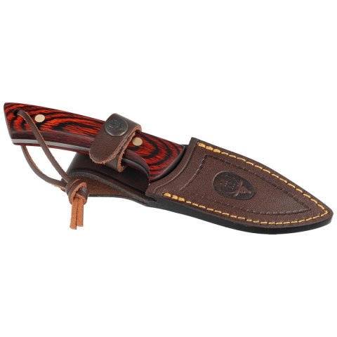 Nóż Muela Colibri COL-9.R Coral Pakka Wood, Satin X50CrMoV15 Muela