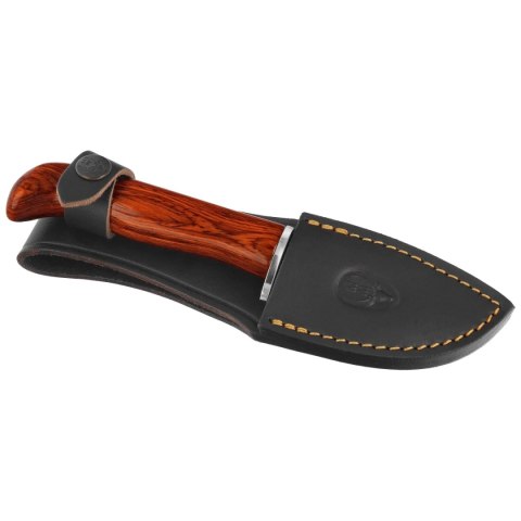 Nóż Muela Piranha-8R Coral Pakka Wood, Satin X50CrMoV15 Muela