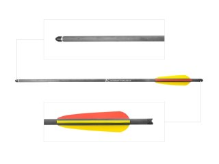 Bełt Poe Lang EK z włókna węglowego 8,8 mm 22" 6 szt. Poe Lang