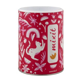 Chrupiące Mango Mixit 100 g Mixit