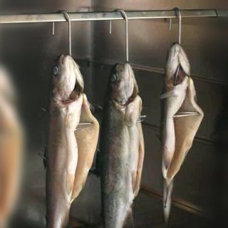 Hak Borniak typ 20 HW-20 3 szt. Borniak