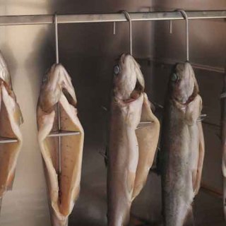 Hak Borniak typ 21 3 szt. Borniak