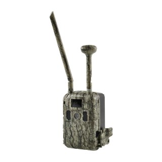 Kamera Fotopułapka T6 GSM NN