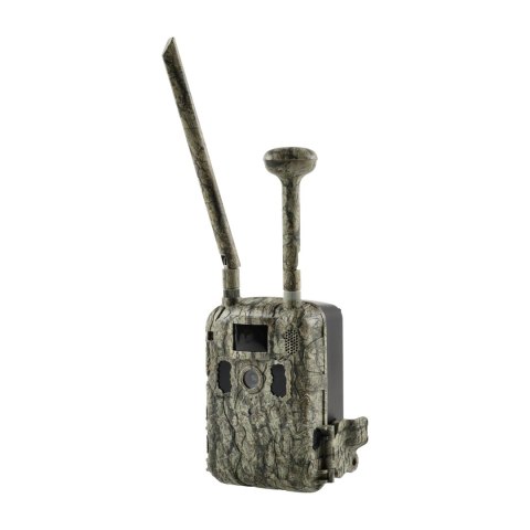 Kamera Fotopułapka T6 GSM NN
