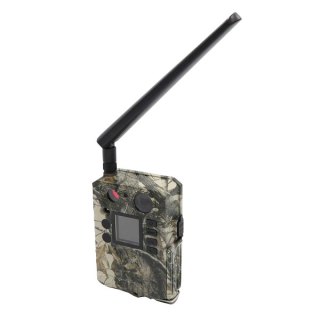 Kamera fotopułapka GSM BG310-M NN
