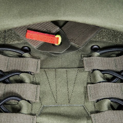 Kamizelka taktyczna Tasmanian Tiger Plate Carrier MKIV L/XL olive Tasmanian Tiger