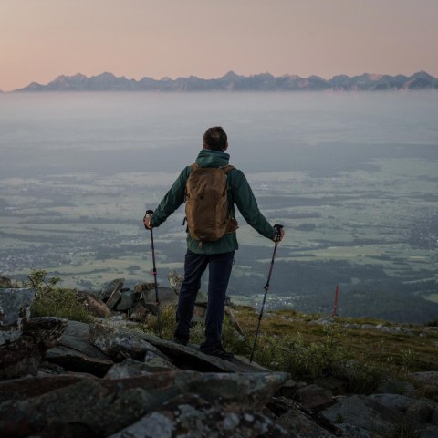 Kijki trekkingowe Alpinus Monte Rosa, granatowo-złote Alpinus