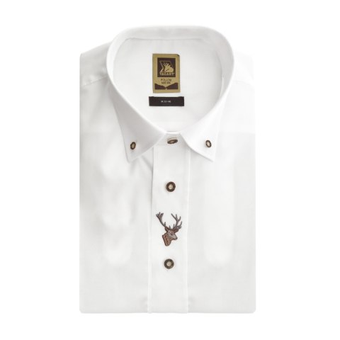 Koszula męska Tagart Rut Tagart