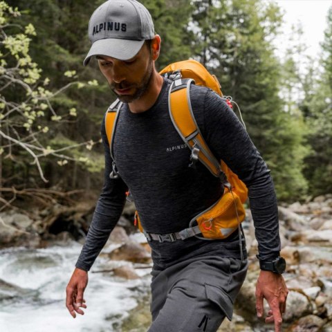 Koszulka męska Alpinus funkcyjna Antorno szara Alpinus