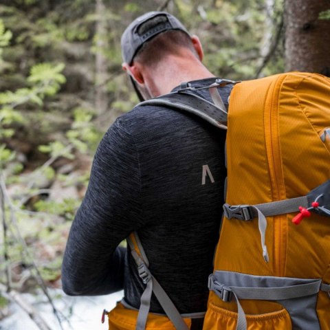 Koszulka męska Alpinus funkcyjna Antorno szara Alpinus