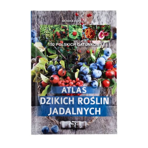 Atlas dzikich roślin jadalnych Wydawnictwo Multico