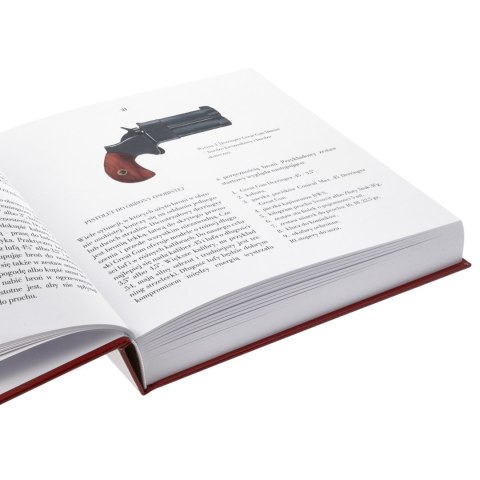 Książka „Księga dymu" R. Wierzbicki twarda okładka Wydawnictwo Stary Wspaniały Świat