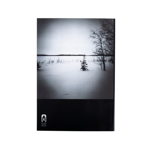 Książka „Polaris" Rafał Wierzbicki, miękka okładka Wydawnictwo Stary Wspaniały Świat