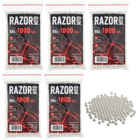 Kulki BB do ASG RGun 0,20 g 200 g / ok 1000 szt. RGun
