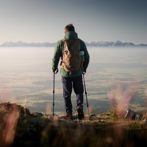 Kurtka męska Alpinus softshell Pourri zielona Alpinus