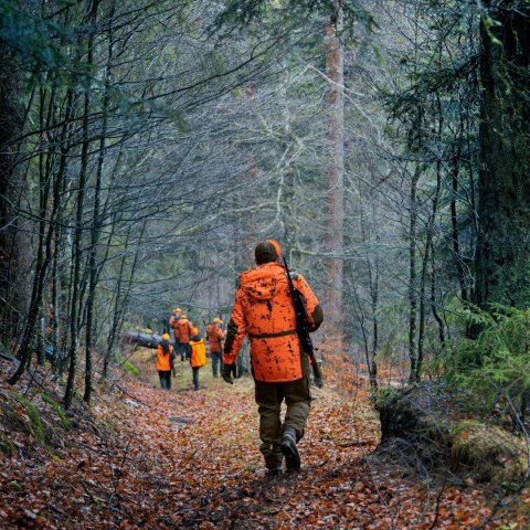 Kurtka męska Seeland Helt Shield InVis orange Seeland