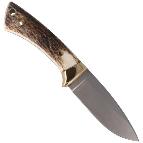 Nóż Muela Colibri COL-7A Deer Stag, Satin X50CrMoV15 Muela