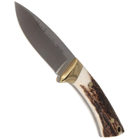 Nóż Muela Colibri COL-7A Deer Stag, Satin X50CrMoV15 Muela