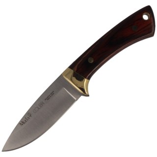Nóż Muela Colibri COL-7M Pakka Wood, Satin X50CrMoV15 Muela