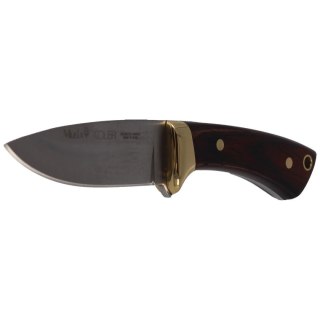 Nóż Muela Colibri COL-7M Pakka Wood, Satin X50CrMoV15 Muela
