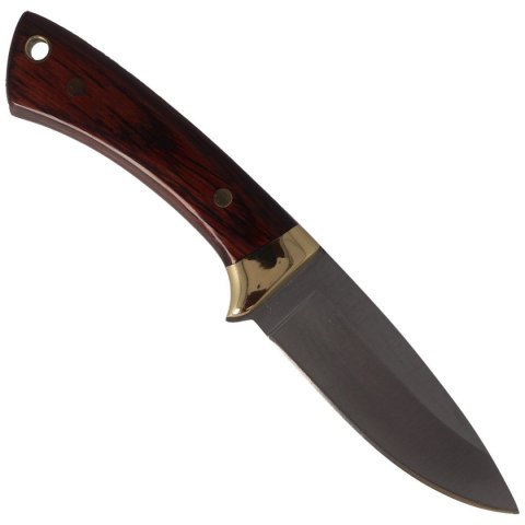 Nóż Muela Colibri COL-7M Pakka Wood, Satin X50CrMoV15 Muela
