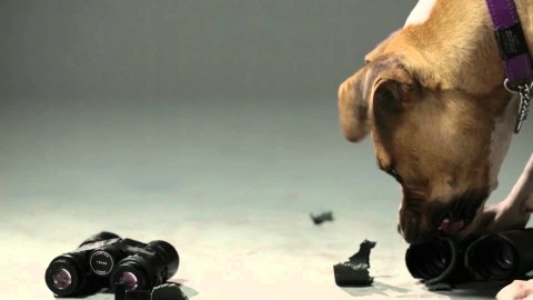 Lornetka Vortex Diamondback HD 10x50 Vortex Optics