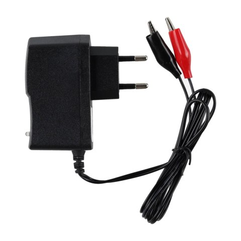 Ładowarka do Akumulatora 12V NN