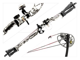 Łuk bloczkowy dla dorosłych i młodzieży Poe Lang Rex 15-55 lb 28" skull camo Poe Lang