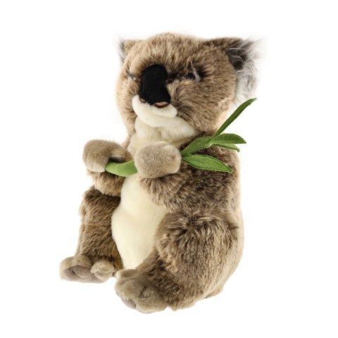 Maskotka Uni-Toys Koala 31 cm Uni-Toys