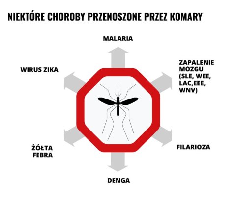 Mleczko repelent Mugga 50% DEET 50 ml Mugga