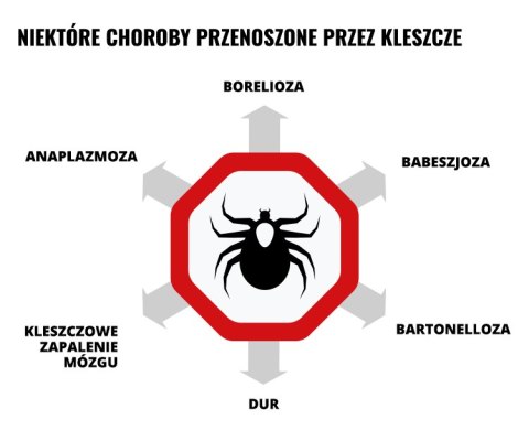 Mleczko repelent Mugga 50% DEET 50 ml Mugga