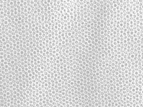 Moskitiera MFH - duża biała (0,63x2,5x12,5 m) MFH - Max Fuchs