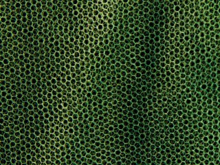 Moskitiera MFH - mała oliwkowa (0,63x2x8 m) MFH - Max Fuchs