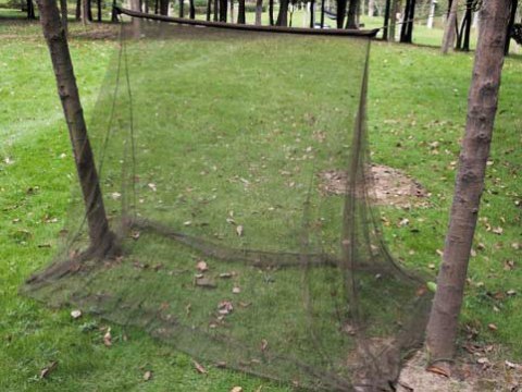 Moskitiera campingowa MFH - oliv (2x1,5x1 m) MFH - Max Fuchs