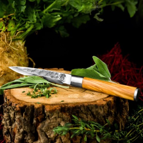 Nóż kuchenny uniwersalny Forged olive Forged